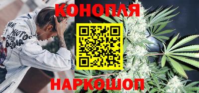 сатива Бузулук
