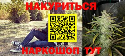 сатива Бузулук