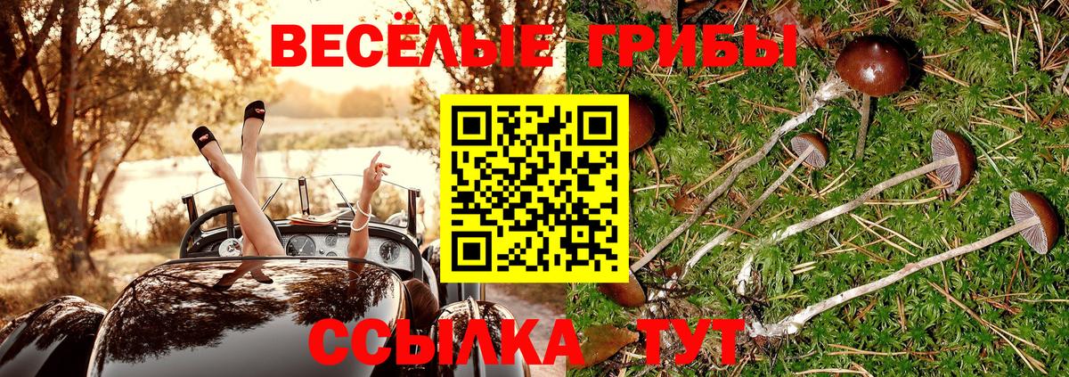 Псилоцибиновые грибы MAGIC MUSHROOMS Джанкой