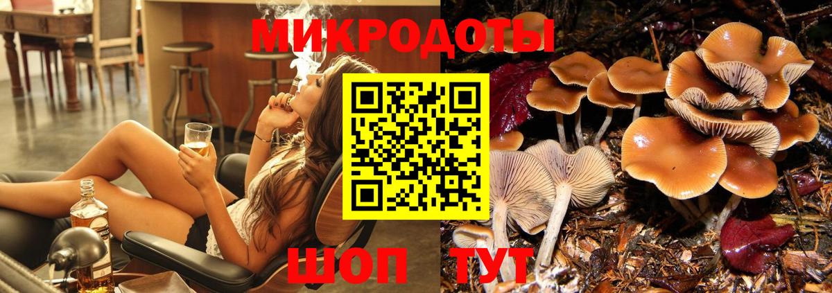 купить   Вход с VPN  Джанкой  Псилоцибиновые грибы Psilocybine cubensis  Псилоцибиновые грибы GOLDEN TEACHER 